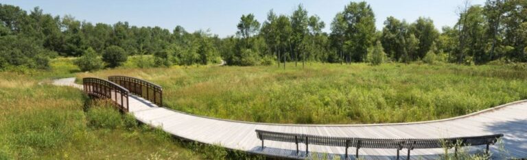 Richmond Hill New Condos