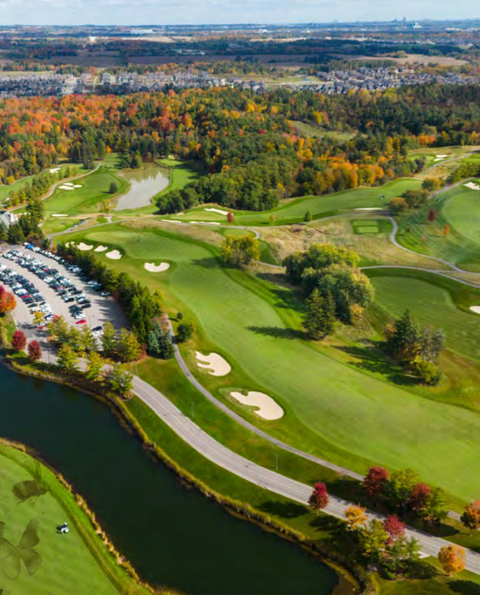 The townhall collection Gagan Bector