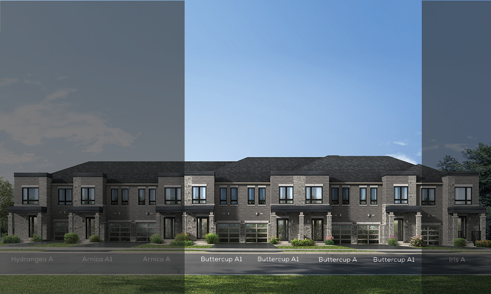 A modern row of two-story brick townhouses with dark roofs, large windows, and garage doors. The front lawn is well-kept. Sections of the image are labeled and shaded with names: Hydrangea A, Arnica A, Buttercup A1, and Iris A. These new condos in GTA boast a clear, blue sky backdrop.