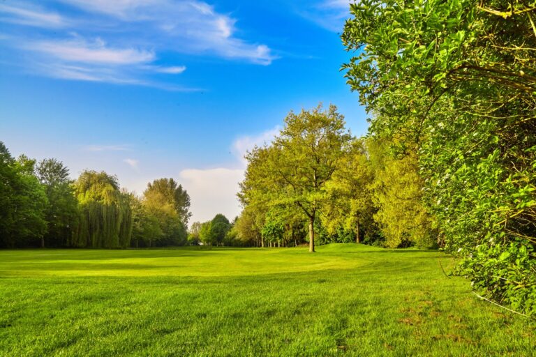 Ajax are single-family, detached houses