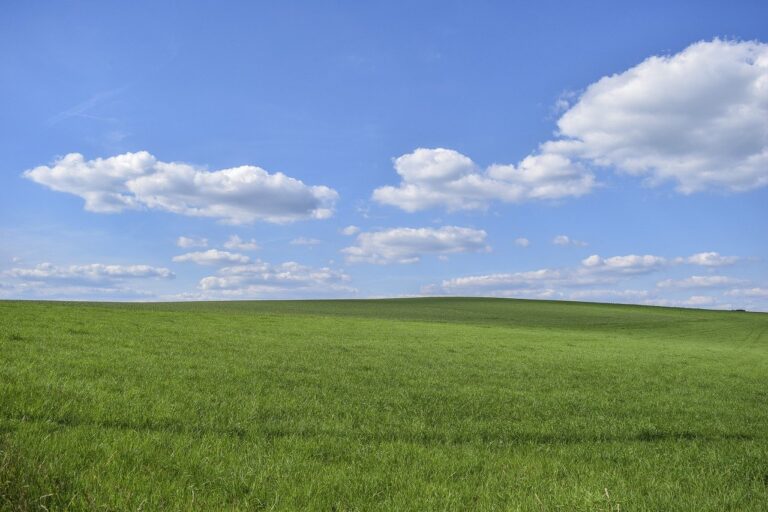 A vast green field under a clear blue sky scattered with fluffy white clouds stretches across the land in Beaverton. The landscape is flat with a gentle rise in the distance, creating a peaceful and open atmosphere.