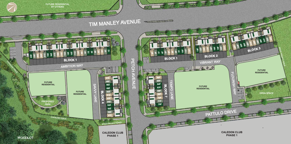 The site plan showcases a residential development featuring blocks of townhouses along Tim Manley Avenue, Petch Avenue, and Pattulo Drive. It includes pre-construction homes, future residential areas, a proposed park, open spaces, and street names like Ambition Way and Vibrant Way.