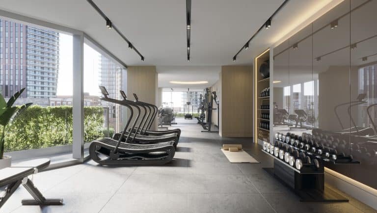 Located in the Freed Hotel, the modern gym boasts large windows with stunning city views. The room features several treadmills, dumbbells on a rack, and various exercise machines. Ample natural light floods the space, highlighting the sleek, minimalist design and green plants by the windows.