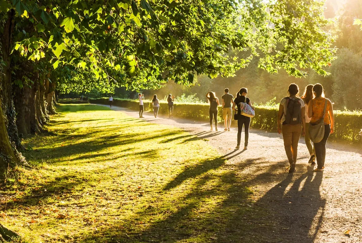 People strolling along a sunlit, tree-lined path in Upper Mayfield Estates enjoy the long shadows cast by trees and walkers. The serene, inviting atmosphere is enhanced by the warm glow of the setting sun.