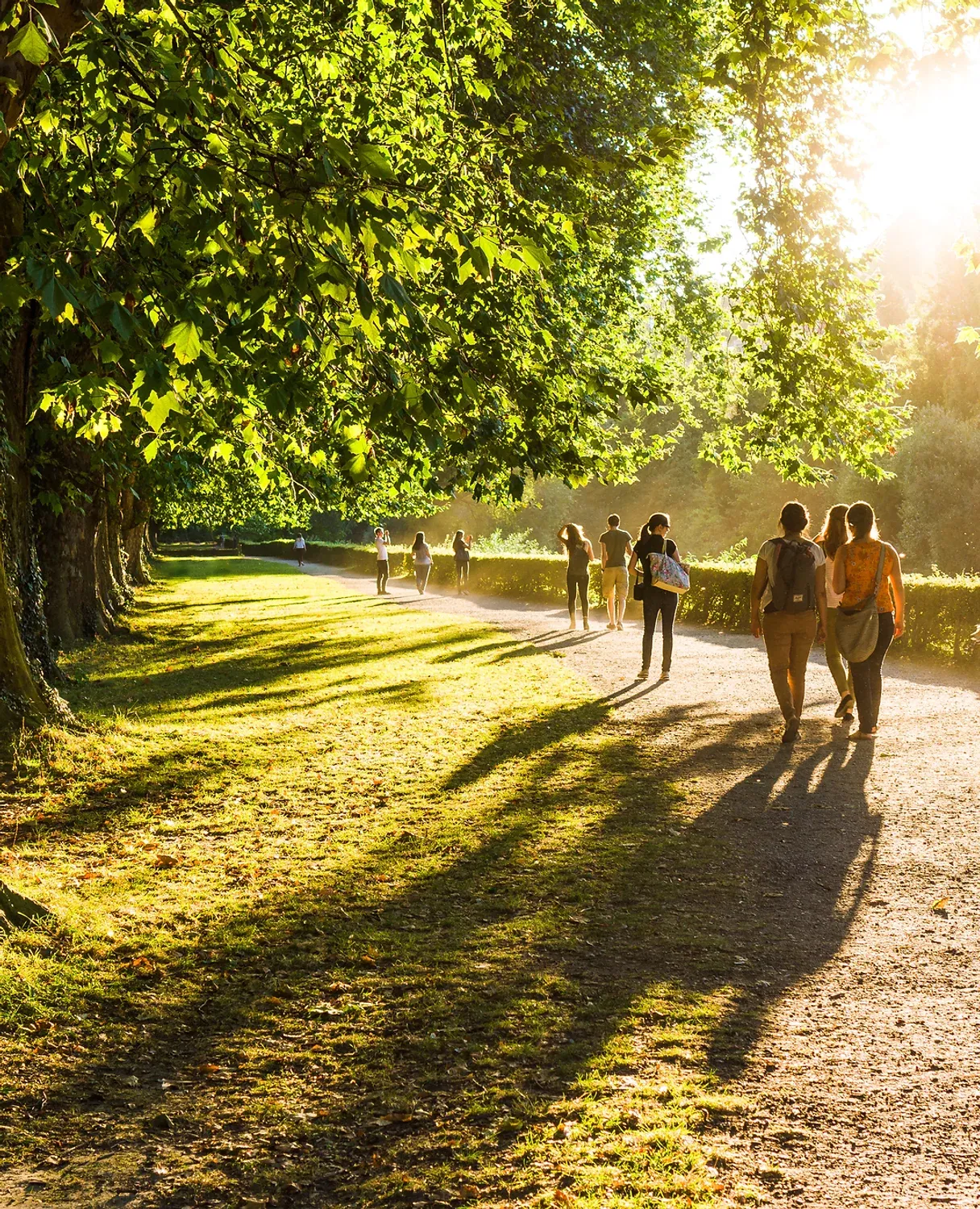People strolling along a sunlit, tree-lined path in Upper Mayfield Estates enjoy the long shadows cast by trees and walkers. The serene, inviting atmosphere is enhanced by the warm glow of the setting sun.