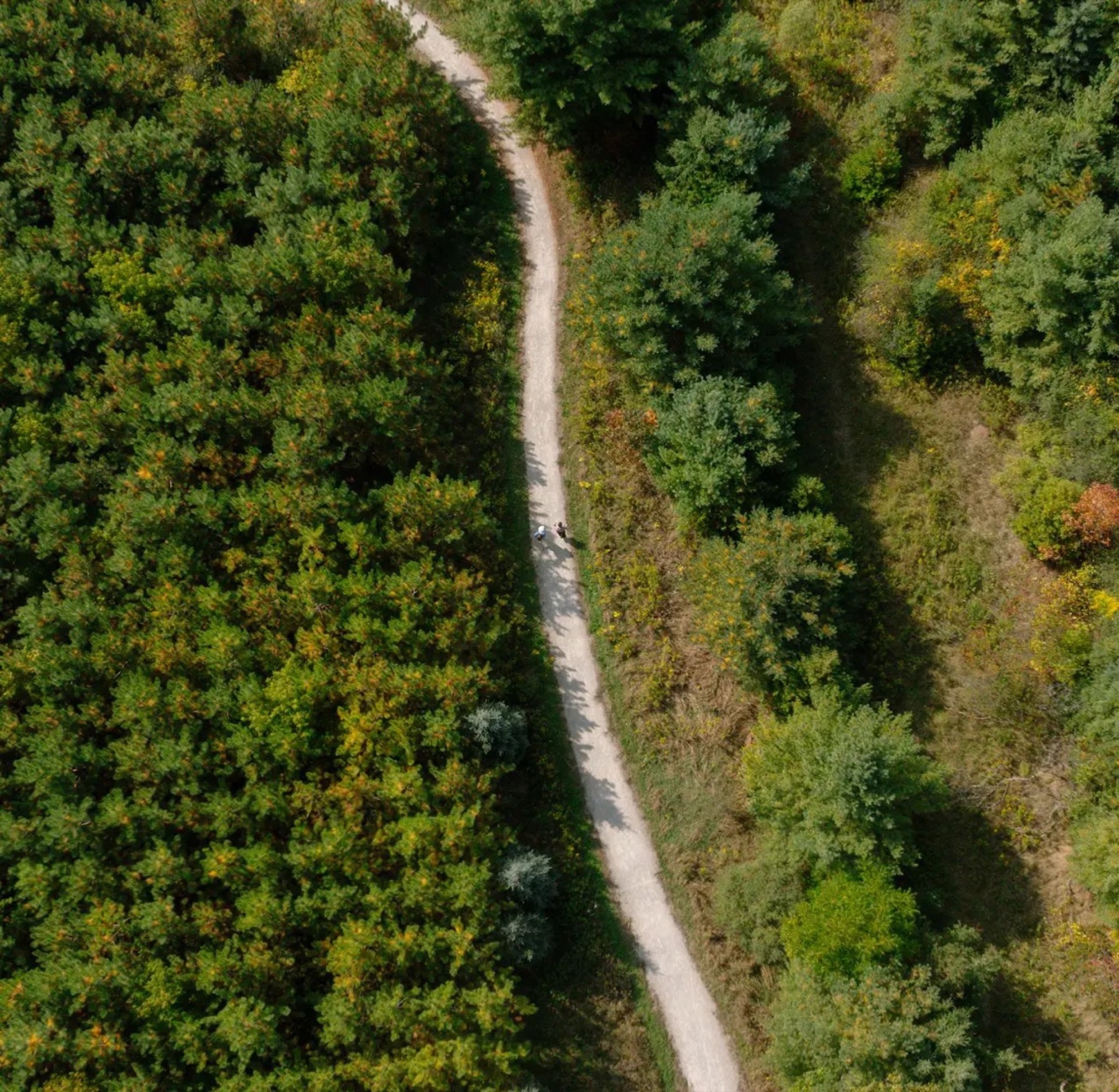bridgelands-woodbridge-vaughan-nature-trails Bridgelands Woodbridge | Freehold Towns & Detached Homes | VIP Pricing & Floor Plans